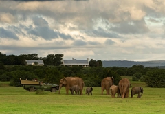 River Bend Lodge