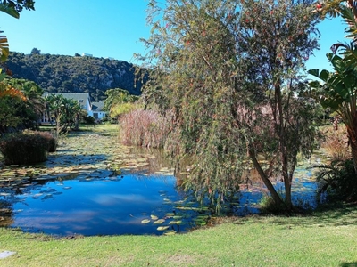 River Club 4216
