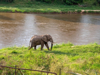 River House Lodge