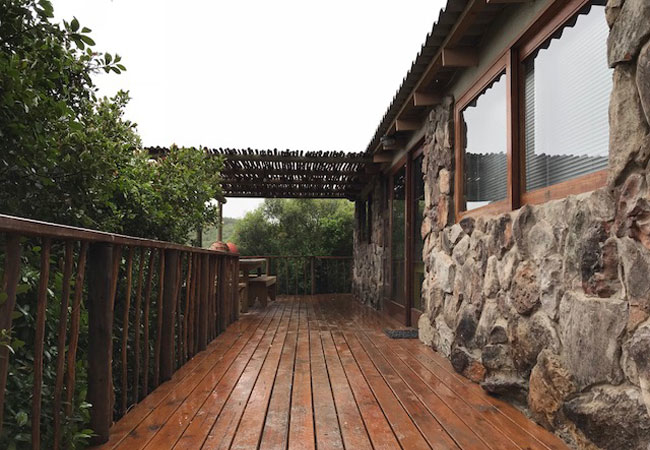 The Woodpeckers Shack