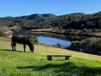 Riversong Farm