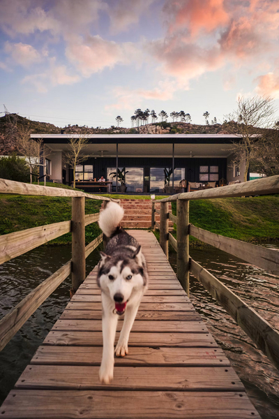 Exclusive Use Holiday Home