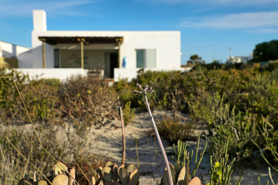 Robin House