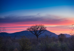 Rockfig Lodge Madikwe