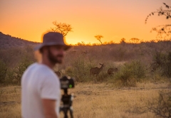 Rockfig Lodge Madikwe