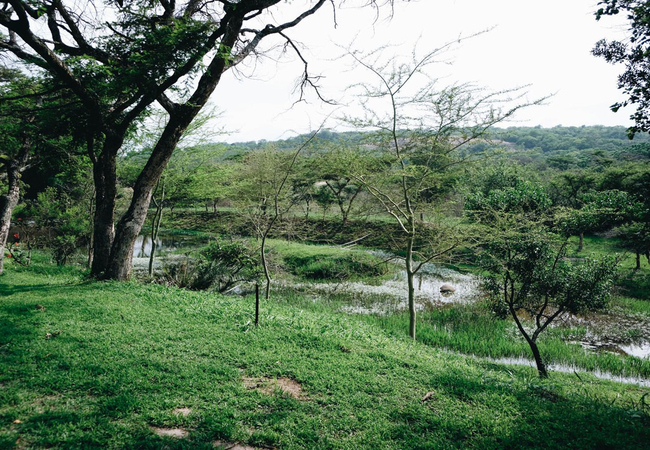 Rockview Lodge Campsite