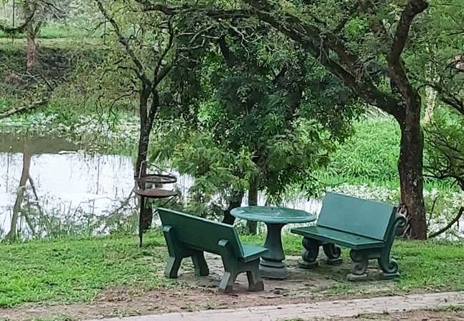 Rockview Lodge Campsite