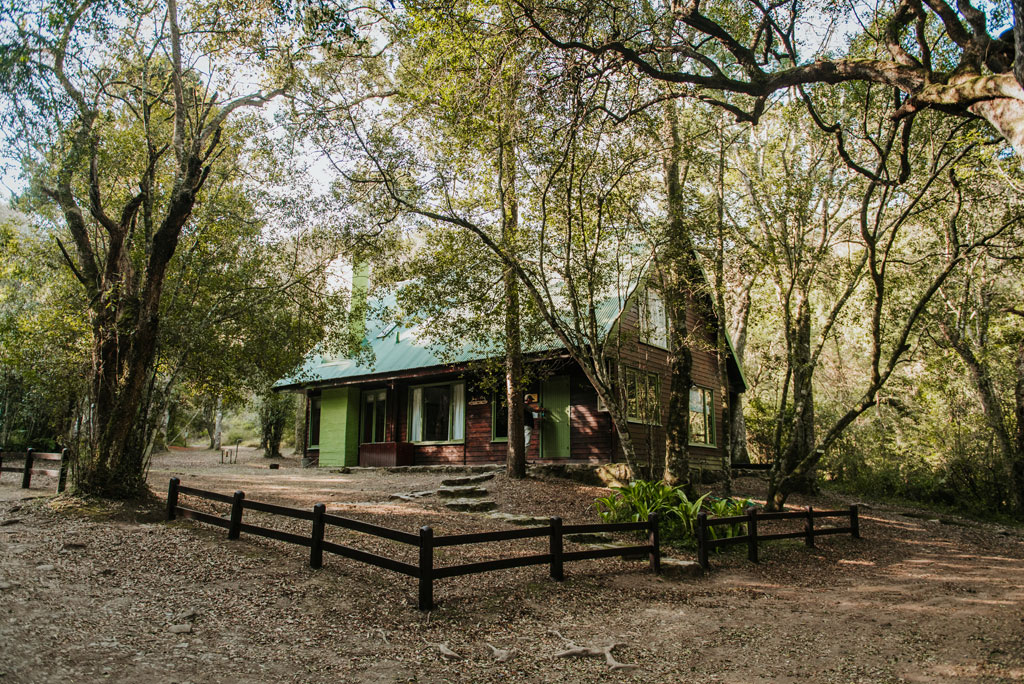 Rockwood Forest Lodge