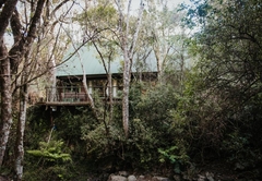 Rockwood Forest Lodge