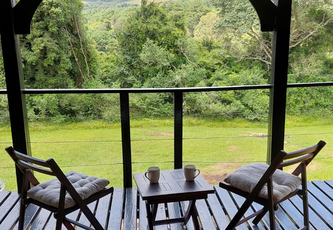 Rockwood Mountain Cabin