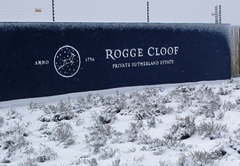 Rogge Cloof Stables