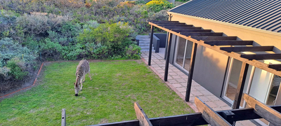 Romansbaai Beach House