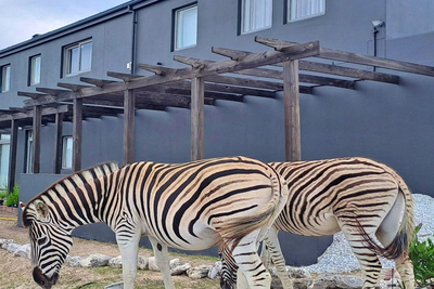 Romansbaai Beach House
