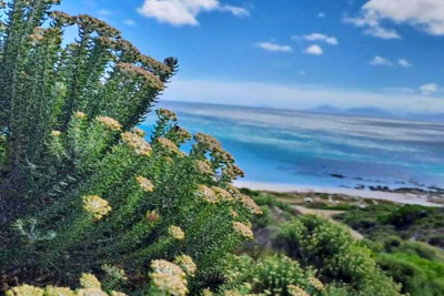 Romansbaai Beach House