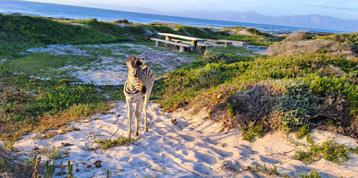 Romansbaai Beach House