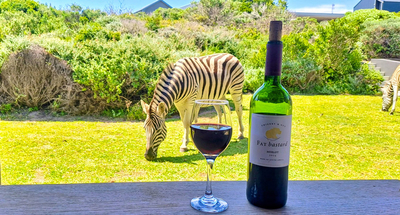 Romansbaai Beach House