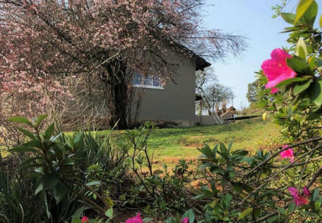 Rondebossie Country Cottage