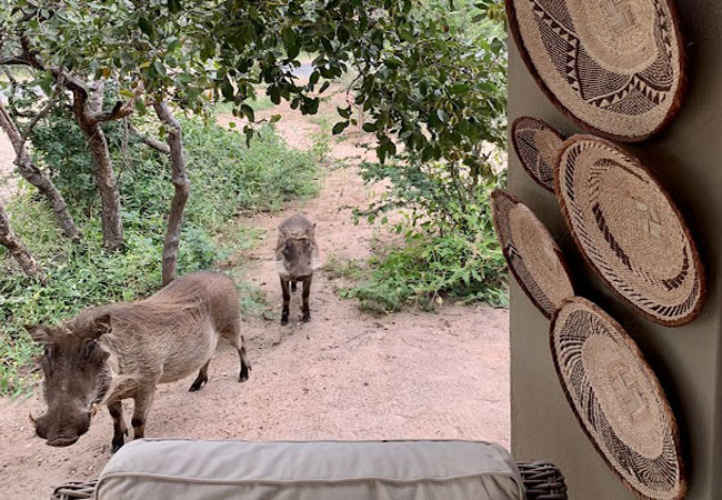 Rooibos Luxury Bush Cottage