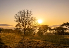 Rorke's Drift Lodge