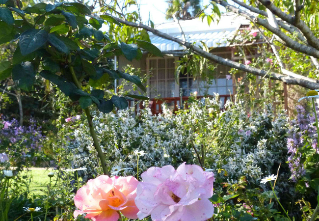 Knysna Rose Cottage