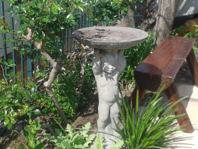 Part of path to the Rose Tree unit