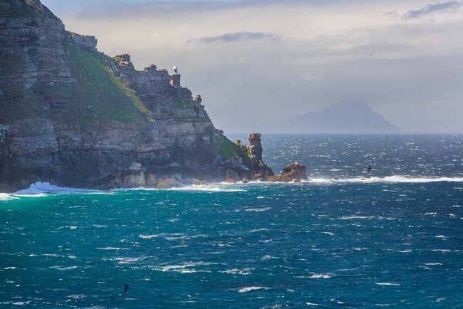 View of Cape Point in the Reserve