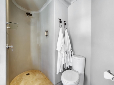 Deluxe Suite 102 / Bath and Rain Shower