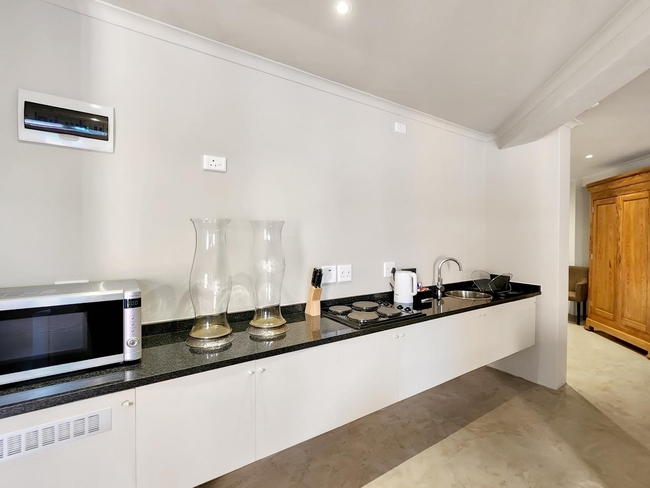 Deluxe Suite 101 / Kitchenette 