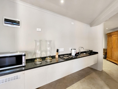 Deluxe Suite 101 / Kitchenette and Sleeper