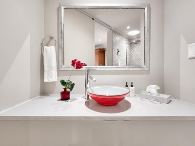 Deluxe Suite 101 / Kitchenette and Sleeper