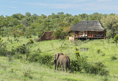 Royal Madikwe Luxury Safari Lodge