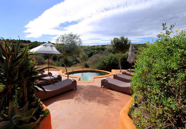 Amakhala Safari Lodge