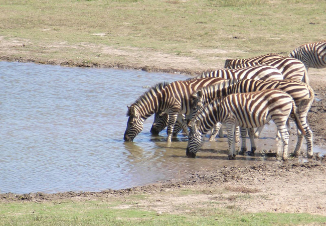 Amakhala Safari Lodge