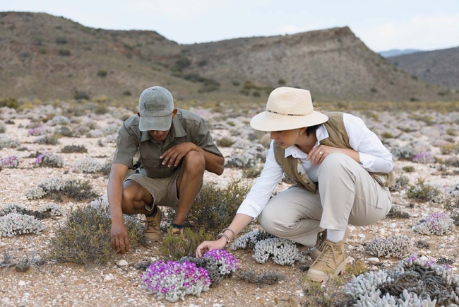 Sanbona Guest Experiences