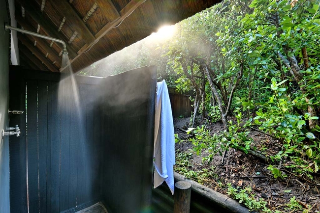 Standard Family Room (with loft) 