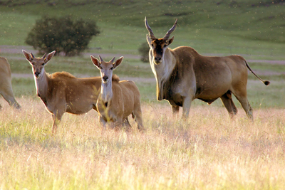 Sani Valley Lodge
