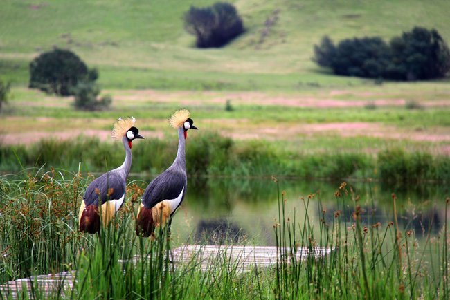 Sani Valley Lodge