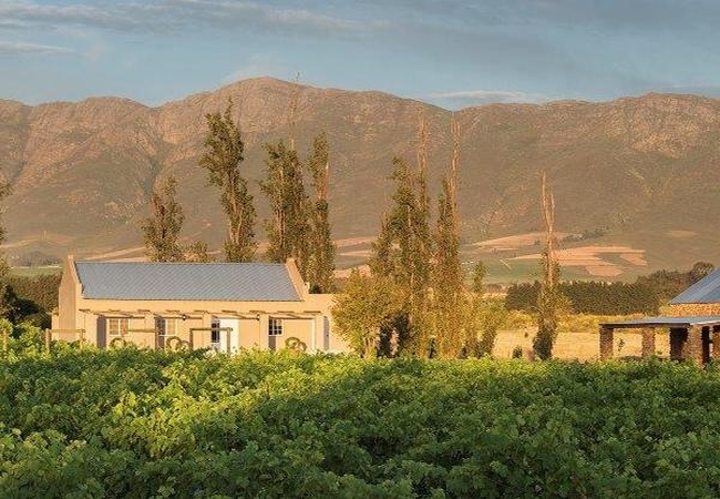 Saronsberg Vineyard Cottages