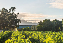 Saronsberg Cellar Venue