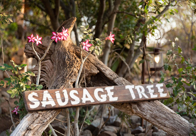 Sausage Tree Safari Camp