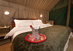 African-Style Luxury Safari Tent 