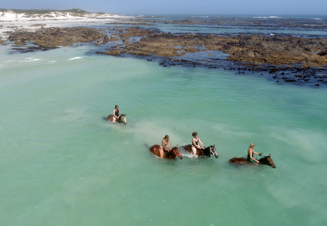 Pearly Beach Horse trails