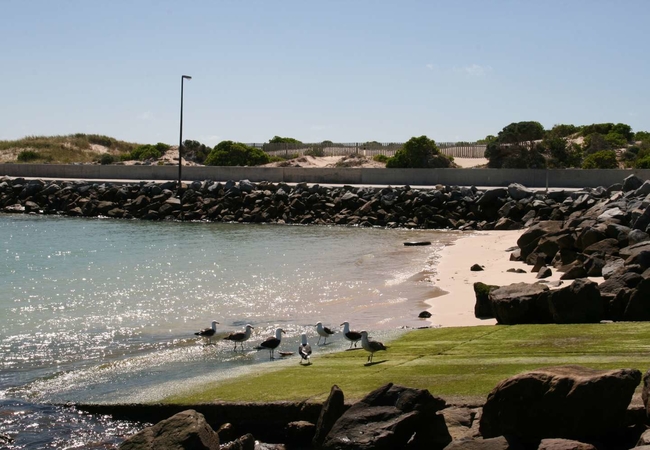 The Area - In and around Struisbaai