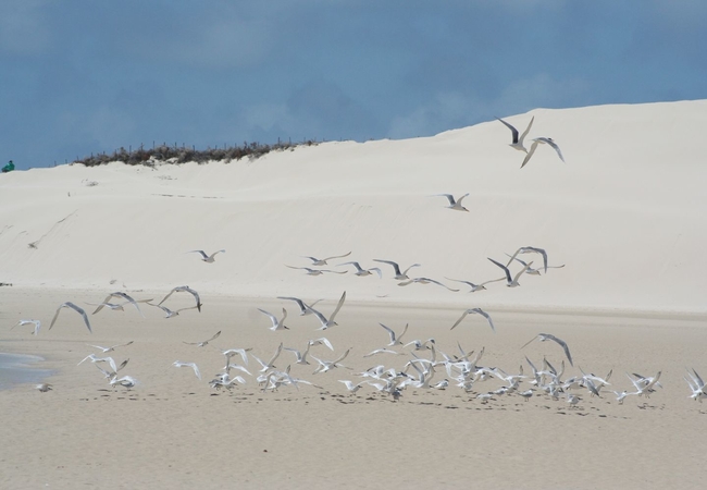 The Area - In and around Struisbaai