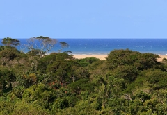 St Lucia Ecolodge
