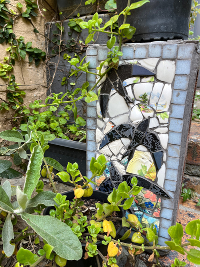 Seaside Getaway @ Swallow House