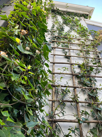 Seaside Getaway @ Swallow House