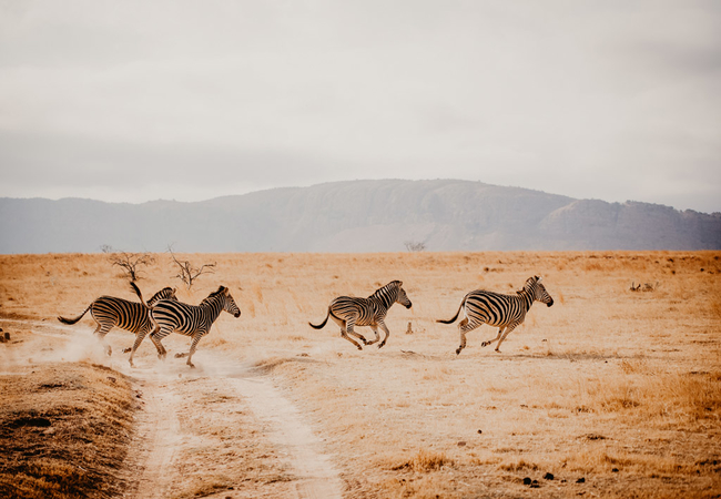 Shakawe Mountain View Lodge