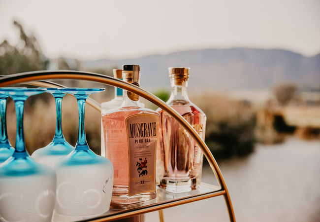 Shakawe Mountain View Lodge