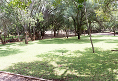 Camping  area